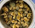 艺福堂胎菊花茶50g 新花无硫熏杭白菊 特养生凉茶级可搭配玫瑰花枸杞 实拍图