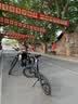大行（DAHON）折叠自行车20英寸8级变速经典P8单车KBC083  消光灰绿【JD定制】 实拍图