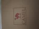 骆驼（CAMEL）户外沙滩鞋凉鞋涉水平底凉鞋男 A822162412 黑色 42 实拍图