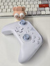 飞智沙漠狐 暮光粉 多模版无线游戏手柄 类xbox霍尔扳机switch电脑PC手机steamNS 星露谷物语原神仁王3 实拍图