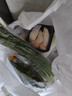 三宝白菜约650g(大娃娃菜) 实拍图