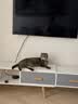 pidan经典混合猫砂 豆腐膨润土混合 3.6kg款4包装 实拍图