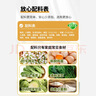 悦味纪 手工槐花鸡蛋老面大包320g*3包 12个 翡翠素馅包子 早餐半成品 实拍图