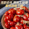 今锦上十三香小龙虾3.6斤 6-8钱 净虾2斤 大号25-33只 加热即食26年新虾 实拍图