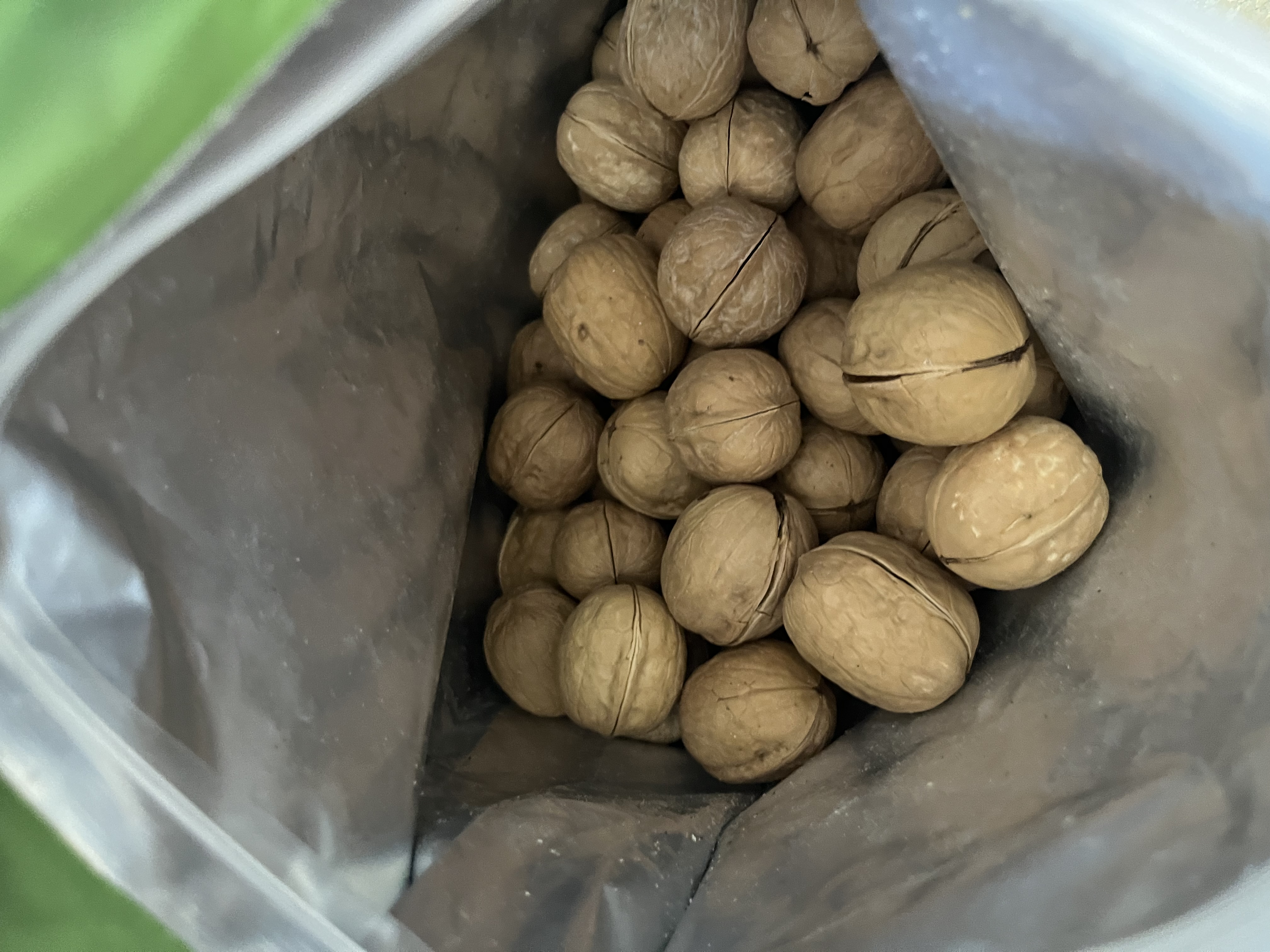 京东京造原味新疆烤核桃1kg 烤核桃熟核桃坚果薄皮核桃休闲零食京东自营 实拍图