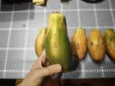 红心牛奶木瓜冰糖心木瓜新鲜水果现摘现发 5斤带箱 单果300g+ 实拍图