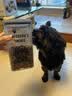 麦富迪狗粮 藻趣儿狗粮成犬粮牛肉螺旋藻 均衡营养7.5kg/15斤 实拍图