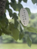 优衣库AIRism高弹力防紫外线拉链连帽开衫女装实测UPF100+483281 66 蓝色 2XL 实拍图