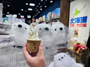 梦龙组合冰淇淋 梦龙/千层雪/迷你可/绿舌头  33支/1525g 冰淇淋 实拍图