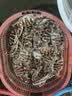 宜而爽【10A抑菌防臭】男士袜子男夏季薄款中筒运动休闲棉袜黑色10双 实拍图