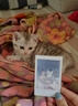 INSTAX富士instax立拍立得 mini相纸 白边双包20张(适用miniSE/11/12/40/90/LiPlay/EVO/Link3) 实拍图