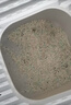 城市理享樱花白茶豆腐木薯混合猫砂2.5kg*4 除臭颗粒吸味结团快不粘底低尘 实拍图
