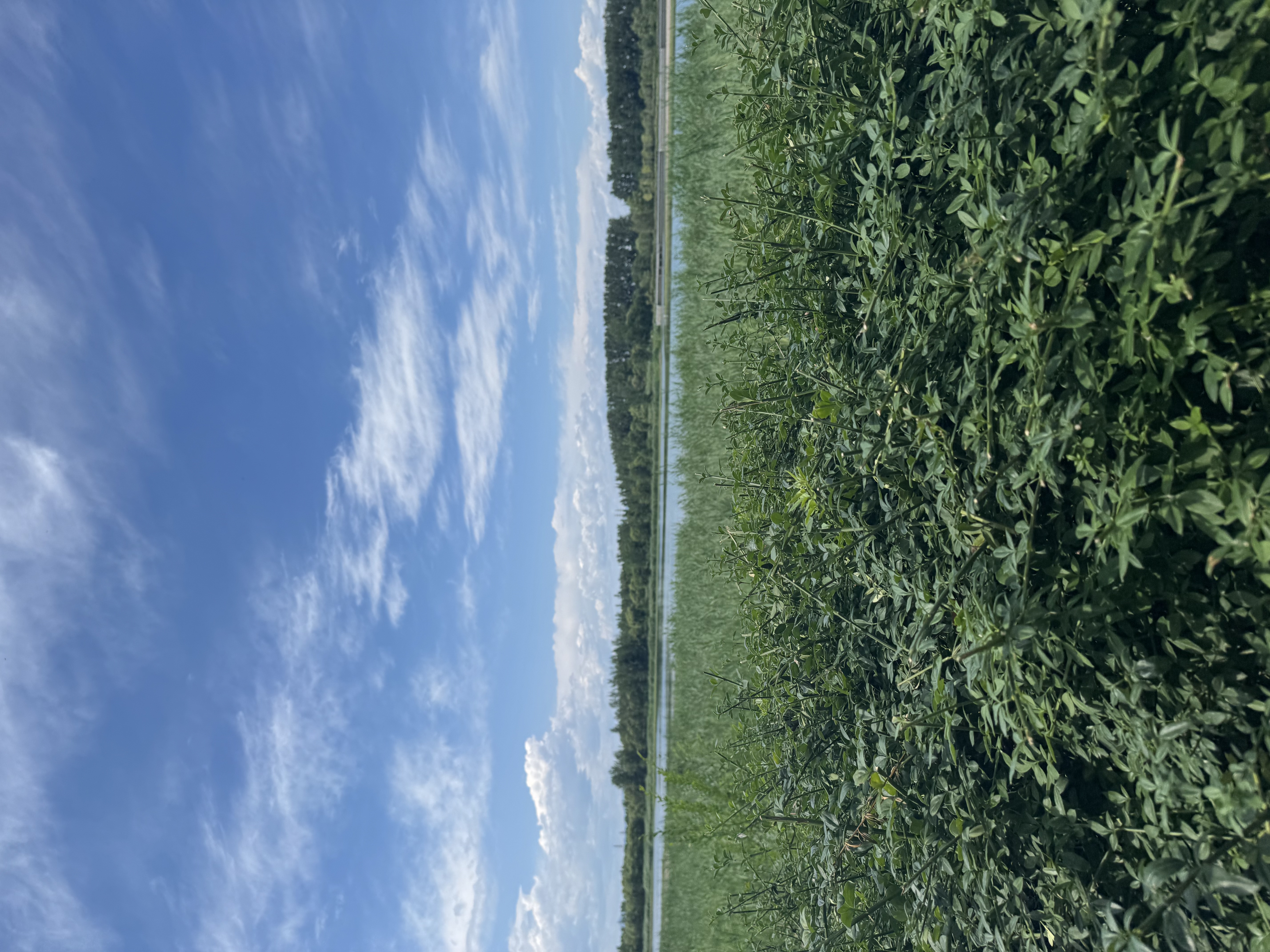 斯纳菲女童凉鞋夏季儿童爱莎水晶公主鞋小女孩舒适百搭半凉鞋爱莎蓝28 实拍图
