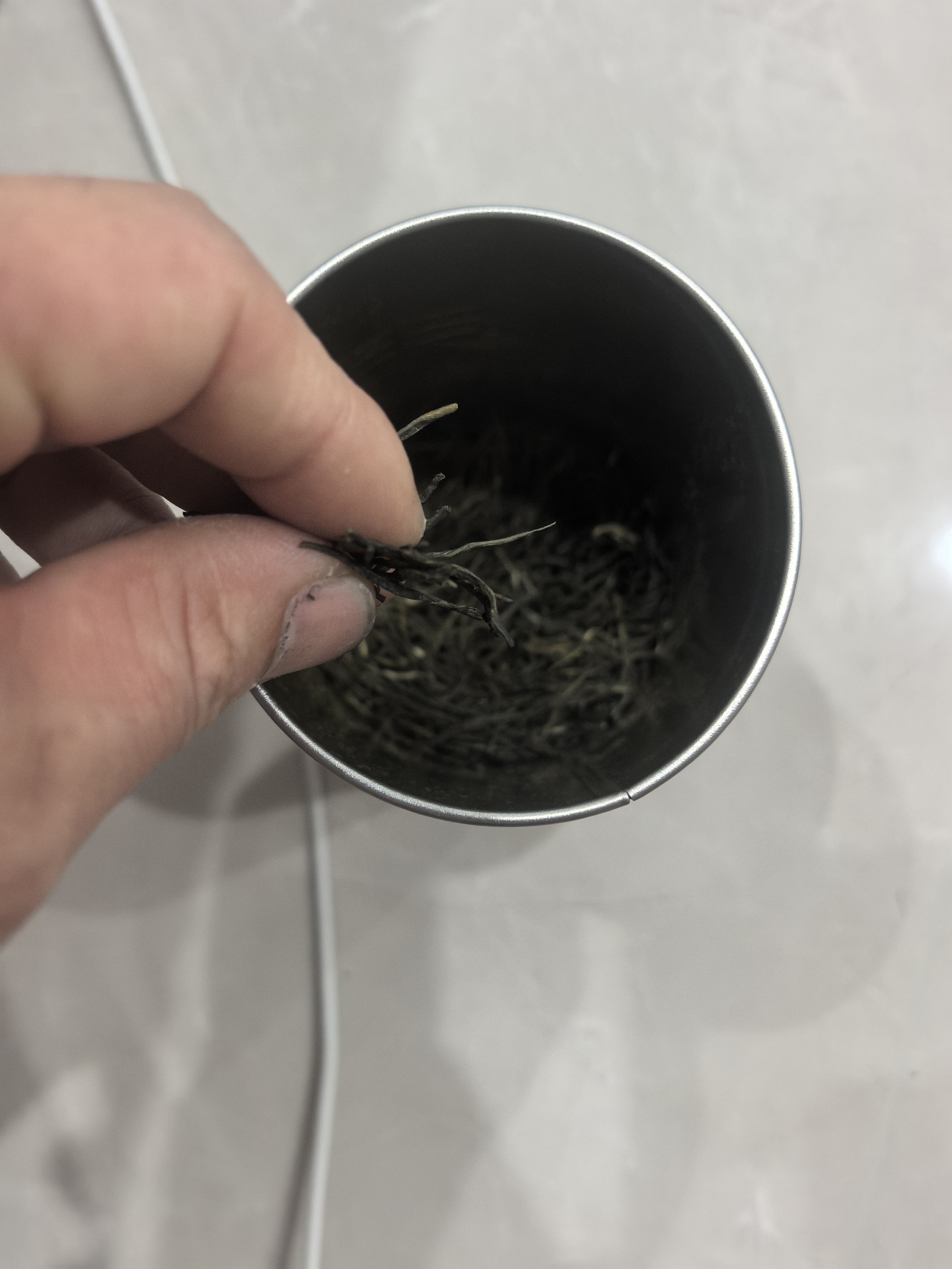 乐品乐茶毛尖茶叶特级明前春茶嫩芽2026新茶自饮礼盒装250g伴手礼送长辈 实拍图
