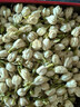 福茗源花草茶 茉莉花苞 特级品质横县三伏晴天茉莉花茶花蕾养生花茶100g 实拍图