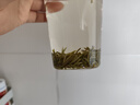 碧螺2026年春茶绿茶苏州东山茶厂碧螺春特级一等50g明前新茶头采罐装 实拍图