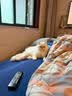 LEGENDSANDY蓝氏猫粮生鲜猎鸟鲜乳鸽生骨肉冻干高蛋白全价成猫粮幼猫通用型 试吃尝鲜装丨猎鸟乳鸽丨50g 实拍图