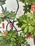 叹为观止大型植物发财树各种大颗盆栽开业乔迁客厅办公室内好养大型花卉 造型鸭脚木【1.5-1.7米】 含盆 实拍图