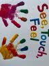 See, Touch, Feel 触觉视觉感官认知 英文原版绘本  低幼儿童早教启蒙绘本 亲子互动游戏书 内附小镜子 实拍图
