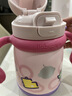 babycare儿童保温杯婴儿宝宝吸管水杯霸王龙不锈钢保温杯300ml-新旧款混发 实拍图