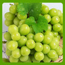 维达（Vinda）有芯卷纸 蓝色经典4层200克*27卷 山茶花香 卫生纸卷筒纸纸巾整箱 实拍图