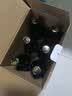 泰山啤酒（TAISHAN）红枣枸杞精酿原浆啤酒10度450mL*6瓶整箱装京东自营送礼 实拍图