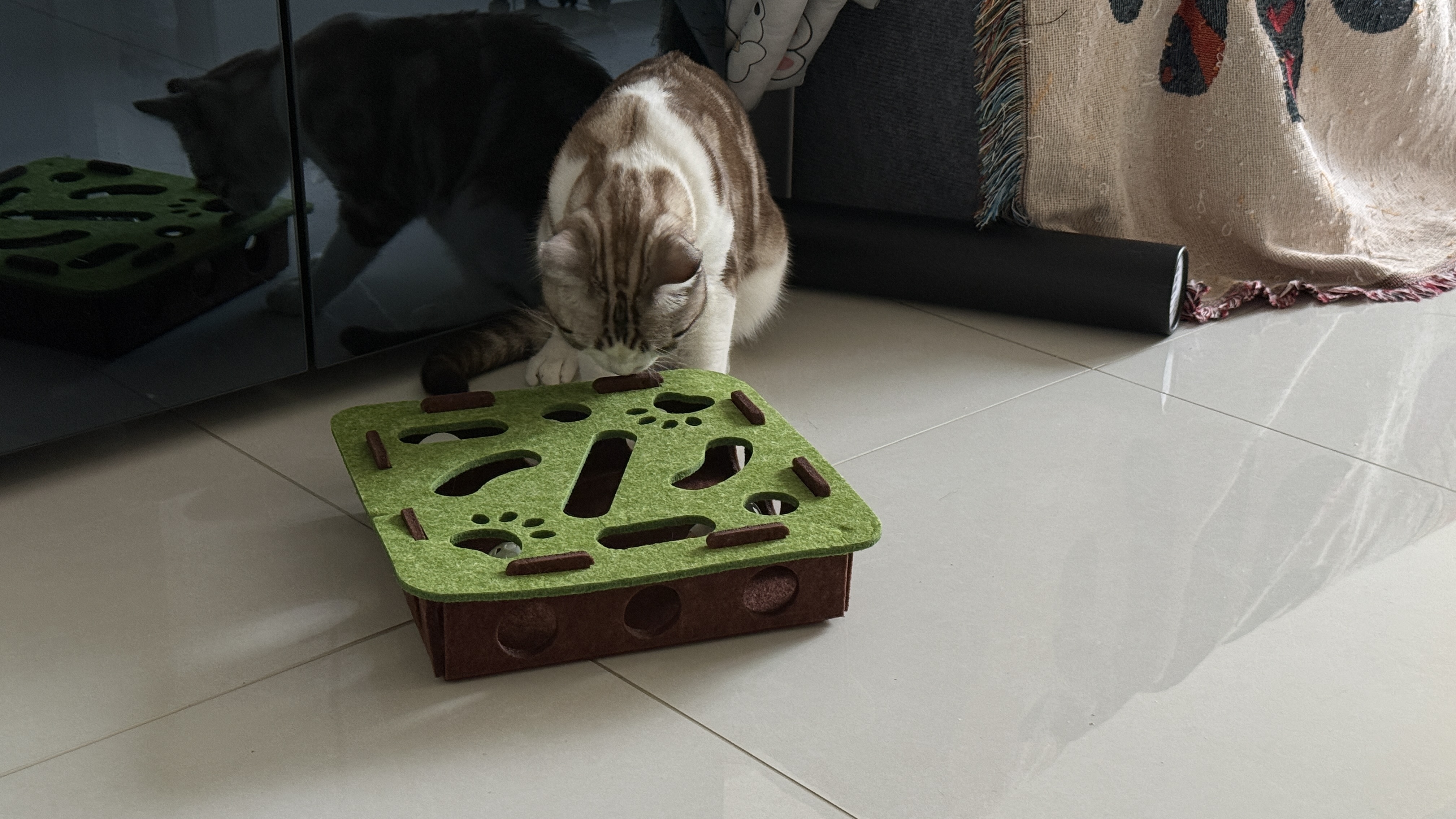 憨憨乐园猫玩具猫咪丰容玩具自嗨解闷神器小猫逗猫迷宫盒子掏掏乐掏洞用品 实拍图