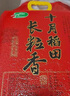 十月稻田 长粒香大米 20斤（东北大米 香米 10kg/公斤） 实拍图