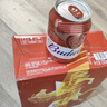 百威啤酒mini红罐淡色拉格255ml*12小罐整箱装京东自营喜酒 实拍图