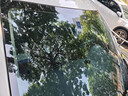 强生汽车贴膜隔热膜玉石深色汽车玻璃膜车膜前挡风玻璃膜车窗膜汽车膜隔热防爆防晒太阳膜玻璃隐私贴膜 实拍图
