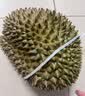 京东京造 混合坚果果干罐装500g 休闲零食每日坚果核桃扁桃仁腰果孕妇零食 实拍图