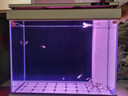 森森（SUNSUN）大型鱼缸底过滤水族箱客厅家用落地玻璃生态金鱼缸 超白款升级底滤 0.8米长35cm宽（黑白灰可选） 实拍图