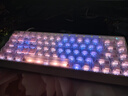迈从（MCHOSE）Ace 68 V2磁轴键盘Gus同款RT电竞游戏低延迟60pro机械有线68键配列FPS双驱动无畏契约 Ace 68 V2 超竞版雾透白 星环磁轴+RT键 实拍图