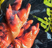 金锣酱卤猪蹄500g/袋休闲零食猪手肘子熟食下酒菜卤味方便面 实拍图