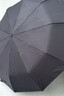 天堂伞 全自动雨伞三折 10骨加固一键开收易甩干简约商务自动伞 乌木黑 实拍图