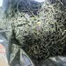 万里江崂山绿茶2026茶叶罐装125克青岛特产卷曲会议用茶高温茶 实拍图