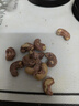 带皮腰果紫皮大颗粒500g克含罐盐焗腰果仁越南特产零食新货坚果干 带皮腰果500g*2大罐 实拍图