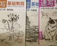 2022新书 经典全集 4册速写基础教程入门临摹教材植物动物风景人物速写画画初学者自学零基础教程书 实拍图