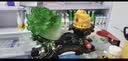 铜雀天骄白菜金蟾招财摆件新店公司开业大吉高档礼物乔迁礼品大摆件高级感 翠玉色B款 实拍图