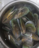 海鲜世家新西兰熟冻原汁全壳青口贝净含量1kg 21-26只/袋原装进口贝类 实拍图