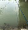 千峰剑鱼竿套装钓鱼竿装备全套一套超轻手竿溪流杆短节海竿品牌渔具用品 4.5m +3.6米+钓鱼礼包 实拍图