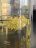 婺牌【新花上市】婺源绣球皇菊菊花茶江西特产花茶礼盒金丝皇菊特级茶 婺源精品花王皇菊24朵一盒装 实拍图