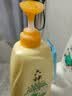 滴露（Dettol）衣物消毒液自然香氛洗衣除菌液 除螨除异味去汗臭48h留香1000ml*1 实拍图