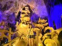 紫光DVD-R光盘/刻录盘 天语系列空白光盘刻录光盘光碟16速4.7G 桶装50片 实拍图