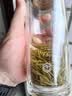 京东京造双层加厚玻璃杯 无铅高硼硅带茶隔水杯304茶隔泡茶杯男士360mL 实拍图