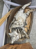 网易严选全价鲜鸡肉猫粮J40 生骨肉无谷主食冻干 成幼猫草本植萃 1.5kg*4 实拍图