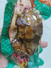 德州扒鸡熟食零食休闲食品独立包装藤椒味德州扒鸡大鸡腿65g*14 实拍图