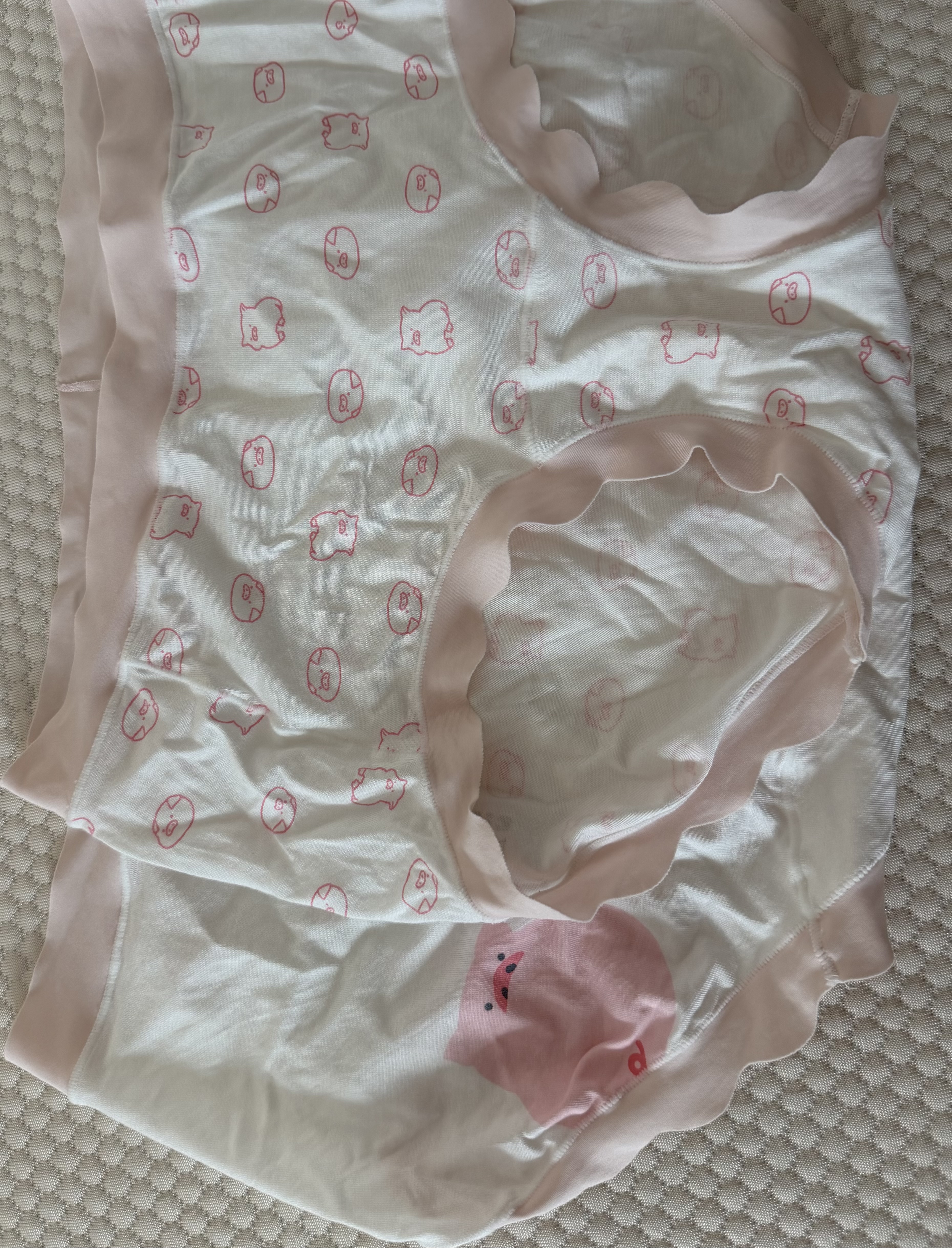 蕉内银皮510S女士三角内裤60支长绒棉夏季透气10A抗菌中腰礼盒3件装 实拍图