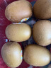 佳沛（zespri）新西兰 阳光金果18粒超大果原箱单果175-204g 猕猴桃水果礼盒 实拍图
