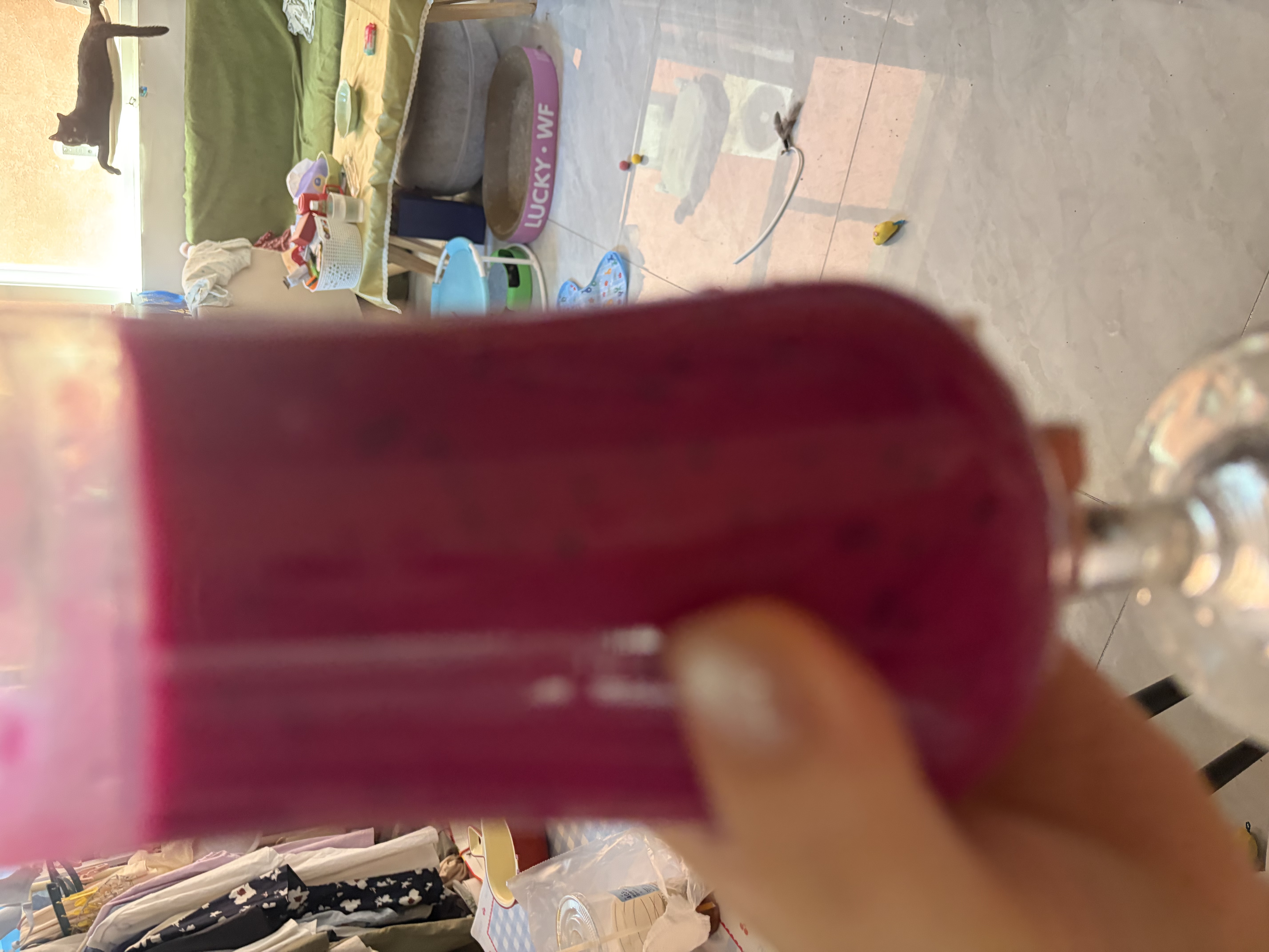 美的（Midea）破壁机家用降噪低音大容量豆浆机智能全自动免煮五谷杂粮多功能预约辅食机料理机榨汁机PB60P2-028 【轻音低至37分贝】PB60P2-028 实拍图